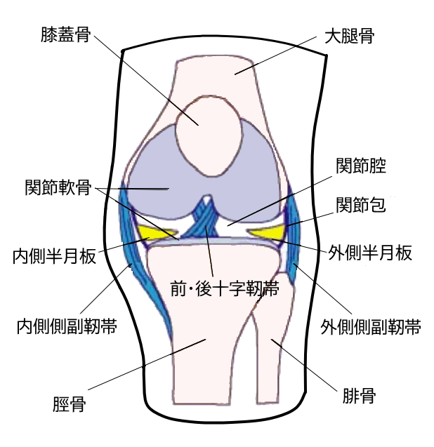 膝図