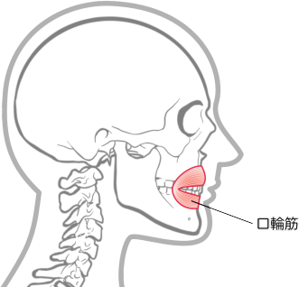 口輪筋