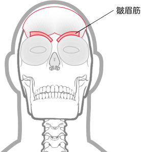 皺眉筋